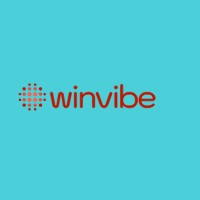 Winvibe Solutions logo - Similar company to Ivelox Digisol