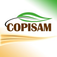 COPISAM E.I.R.L. logo - Similar company to Citeccal