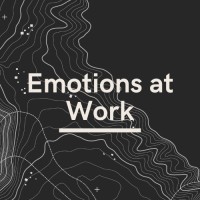 Emotions at Work logo - Similar company to Speedperform