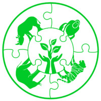 Belantara Foundation logo - Similar company to Unorcid