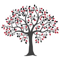Barrington 220 Educational Foundation logo - Similar company to Barrington Area Conservation Trust