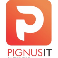 PIGNUS IT logo - Similar company to Pignustech