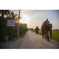 Chitwan Adventure Resort logo - Similar company to Serene Highway Resort