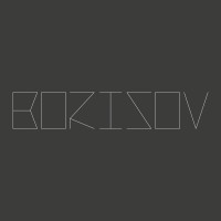 Borisov logo - Similar company to Jongens Van De Bar