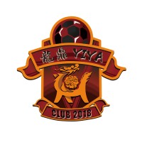 Beijing Longding Yiya Football Club logo - Similar company to International Sports Group / Nike Sports Camps Greater China