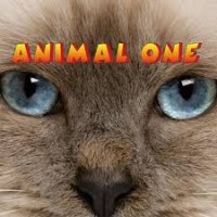 Animal One Milano logo - Similar company to Gruppobea