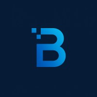Bravix.io logo - Similar company to Big Binary Tech
