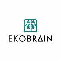 ekoBrain logo - Similar company to Ice Cargo