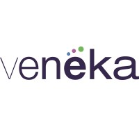 Veneka logo - Similar company to Consumatech Solutions