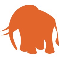 Surfing Elephant