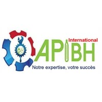 APIBH International logo - Similar company to Palabres Créatives