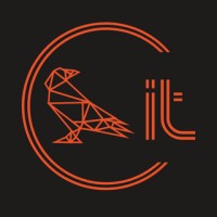 Consult it logo - Similar company to Ai Forest