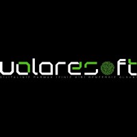 Volaresoft logo - Similar company to Ud Group