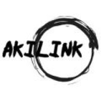 AKILINK logo - Similar company to Vertilog