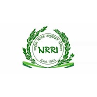 ICAR- National Rice Research Institute logo - Similar company to Cornell Sathguru Foundation For Development