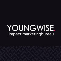 Youngwise BV logo - Similar company to Ingenious Foundation