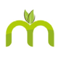 Matcha Tea Company logo - Similar company to Matcha Mama Tulum