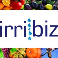 Irribiz logo - Similar company to Water Dynamics