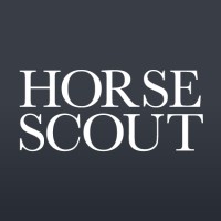 Horse Scout Group logo - Similar company to Qualair Ltd