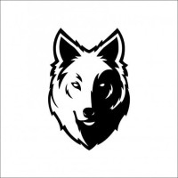 Silver Wolf Designs logo - Similar company to Curve And Pixel