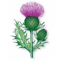 Claneil Foundation logo - Similar company to Enlightapp