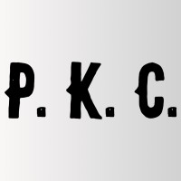 Paul Katz Consulting