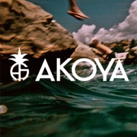 Akoya Swimwear logo - Similar company to Das Designer Apparel Services Inc