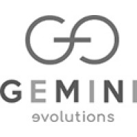 Gemini Evolutions Ltd logo - Similar company to Riss Limited