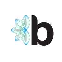 Bloom Ventures logo - Similar company to Rok Lending