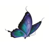 Darsh Pharmachem Private Limited logo - Similar company to Flair Pharma