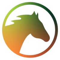 Dark Horse Consulting Inc.