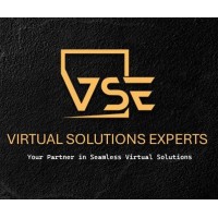 Virtual Solutions Experts logo - Similar company to Rial International Group