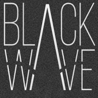BlackWave Sagl logo - Similar company to Black Wave