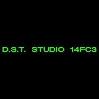 DST STUDIO logo - Similar company to Inside Voices Paris