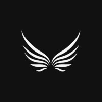 Aerion Capital logo - Similar company to Phi Lab Foundation