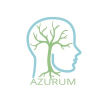 AZURUM LLC logo - Similar company to Azuro