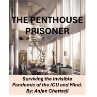 Penthouse Prisoner logo - Similar company to Ventsafe Medical