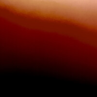 Dgfg logo - Similar company to German Society For Tissue Transplantation (Dgfg)