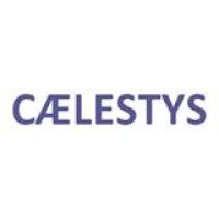 Caelestys logo - Similar company to Rachsources, Llc