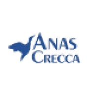 Anas Crecca Travel | Turkey Tours logo - Similar company to Joblance