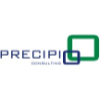 Precipio Consulting logo - Similar company to Lwm Solutions