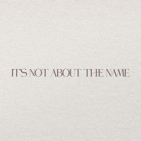 IT'S NOT ABOUT THE NAME logo - Similar company to Hivisory | Rethinking Consulting
