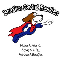 Beagle Rescue, Education, and Welfare (BREW), Inc logo - Similar company to Beagle Freedom Project