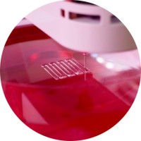 Microfluidics Rostock