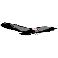 Falcon Securico Guards Limited logo - Similar company to Flextech Television