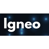 Igneo logo - Similar company to Igneo