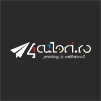 4culori.ro logo - Similar company to The Simplifier
