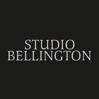 STUDIO BELLINGTON logo - Similar company to Green Velvet