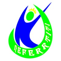 Neferrtiti Weddings logo - Similar company to Deebash Events