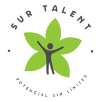 Sur Talent logo - Similar company to Servicio Salud Araucanía Norte